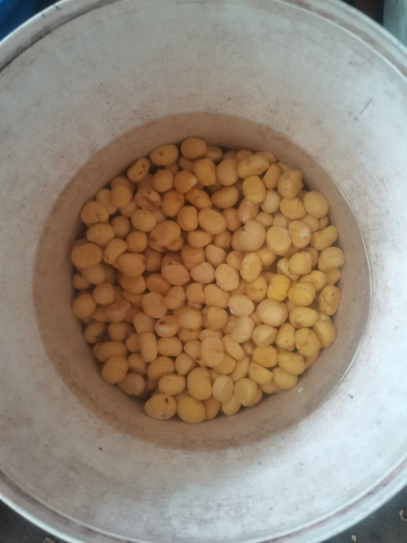 栗仁现做现卖鲜板栗仁，适合饭店食材粽子馅