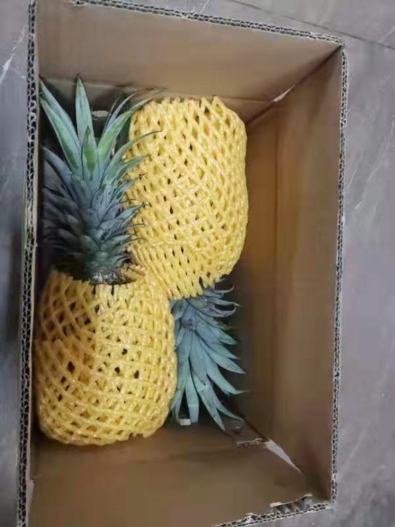 海南自然熟凤梨