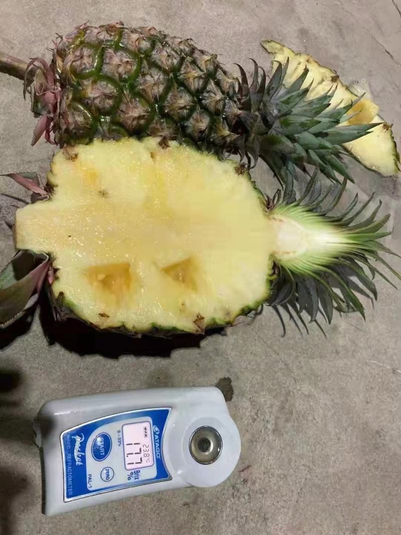 海南自然熟凤梨