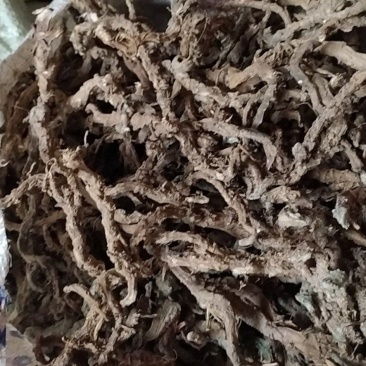 贵州铜仁野生药材石菖蒲干品多种规格无杂质产地直发一手货源