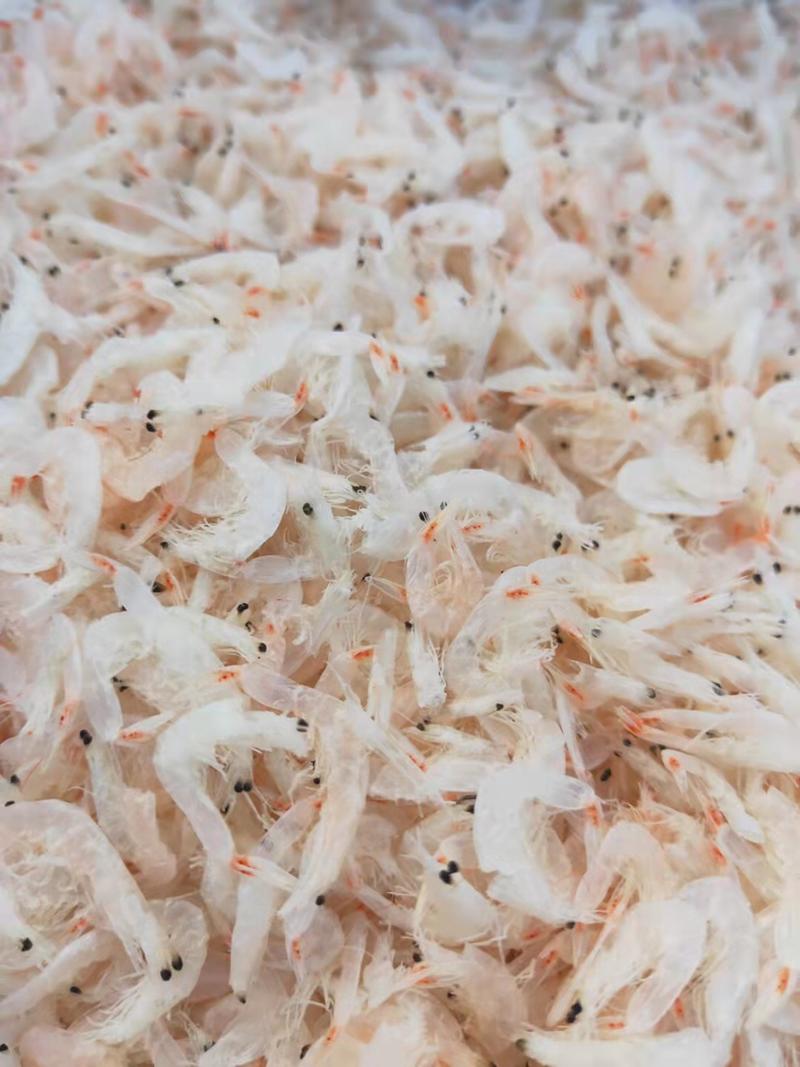 精品山东淡干虾皮干虾产地直发全国发货品质保证