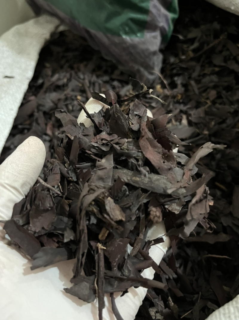 紫草软紫草质量好含量高。一手货源欢迎新老客户前来购买