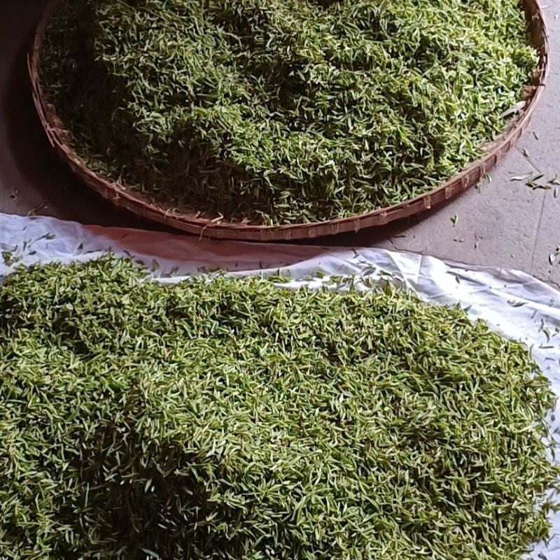 出售高山山谷野生黄山毛峰，纯手工古法制茶。