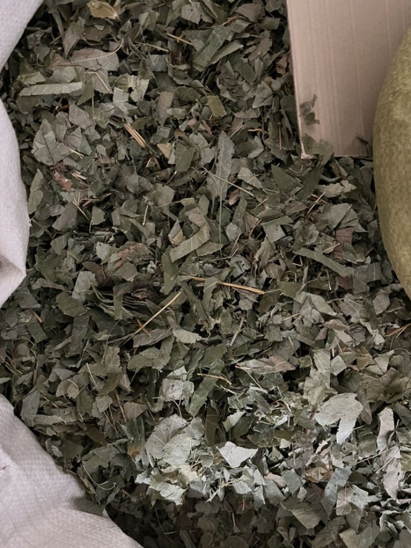 淫羊藿叶子今年新货颜色好看当天发货