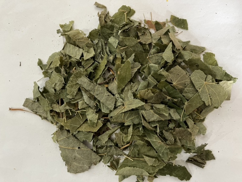 淫羊藿叶子今年新货颜色好看当天发货