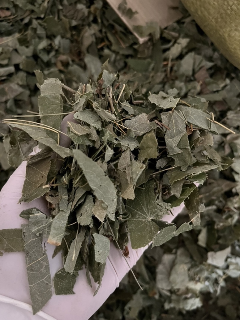 淫羊藿叶子今年新货颜色好看当天发货