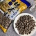 进口辣木籽500g包邮批发零售剥壳嚼着吃支持代发
