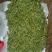 出售高山山谷野生黄山毛峰，纯手工古法制茶。