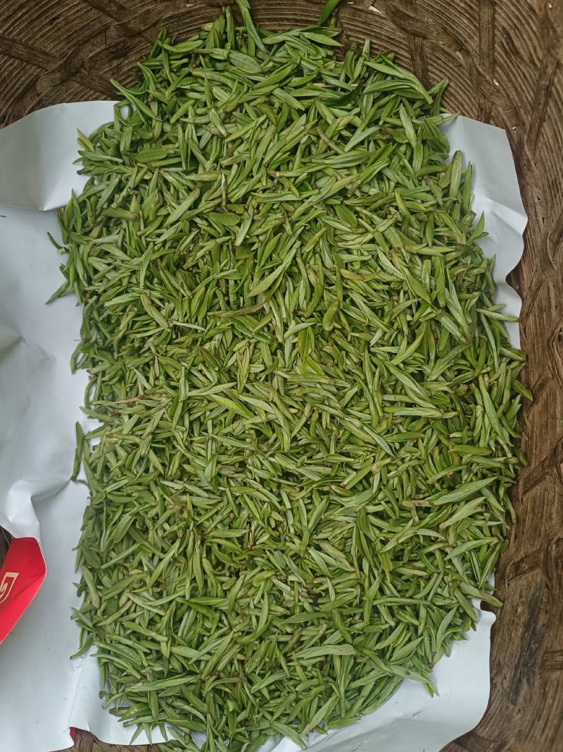 出售高山山谷野生黄山毛峰，纯手工古法制茶。