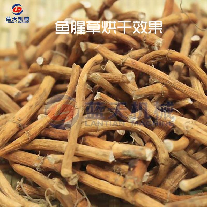 鱼腥草烘干机空气能折耳根侧耳根臭菜烘干房鱼鳞草干燥机