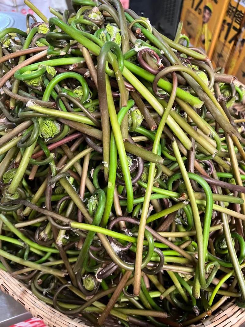 全国发货红薇菜开春薇菜，全手工揉搓凉晒薇菜干，新鲜货源