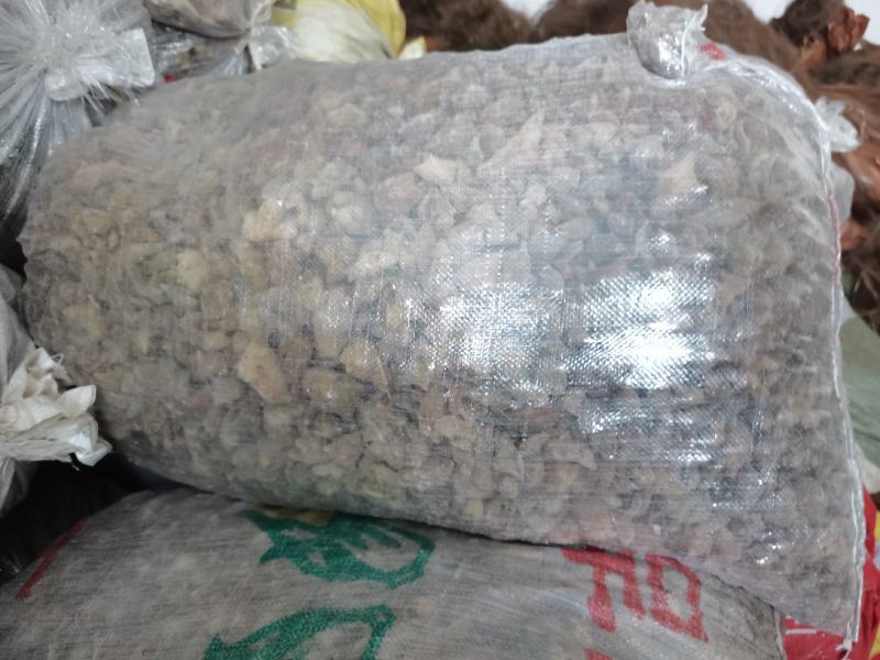 贵州中药材五倍子角倍百虫仓产地一手货源
