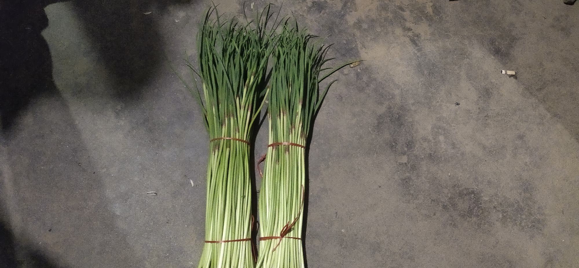 红菜苔原材料展示