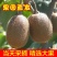 徐香猕猴桃新鲜供应中，质量保证酸甜可口