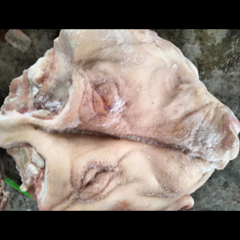 无耳头
