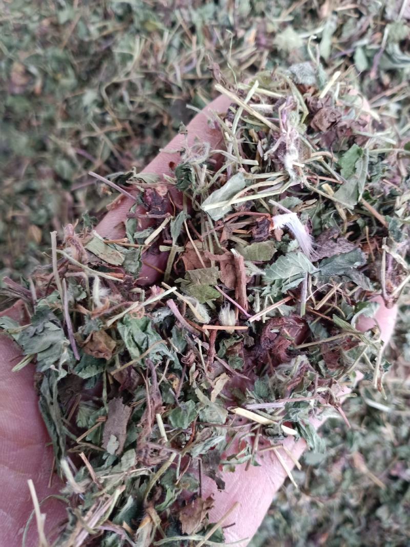 蛇莓，优质野生蛇莓精挑细选切片质量保证，欢迎咨询选购