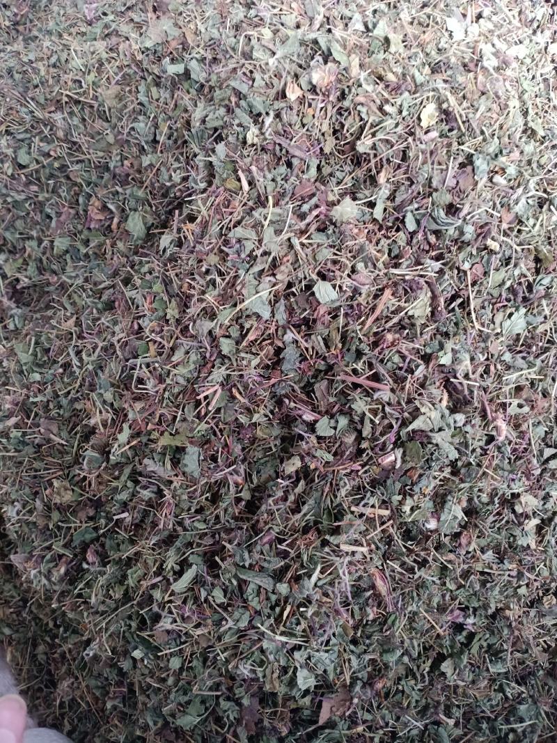 蛇莓，优质野生蛇莓精挑细选切片质量保证，欢迎咨询选购