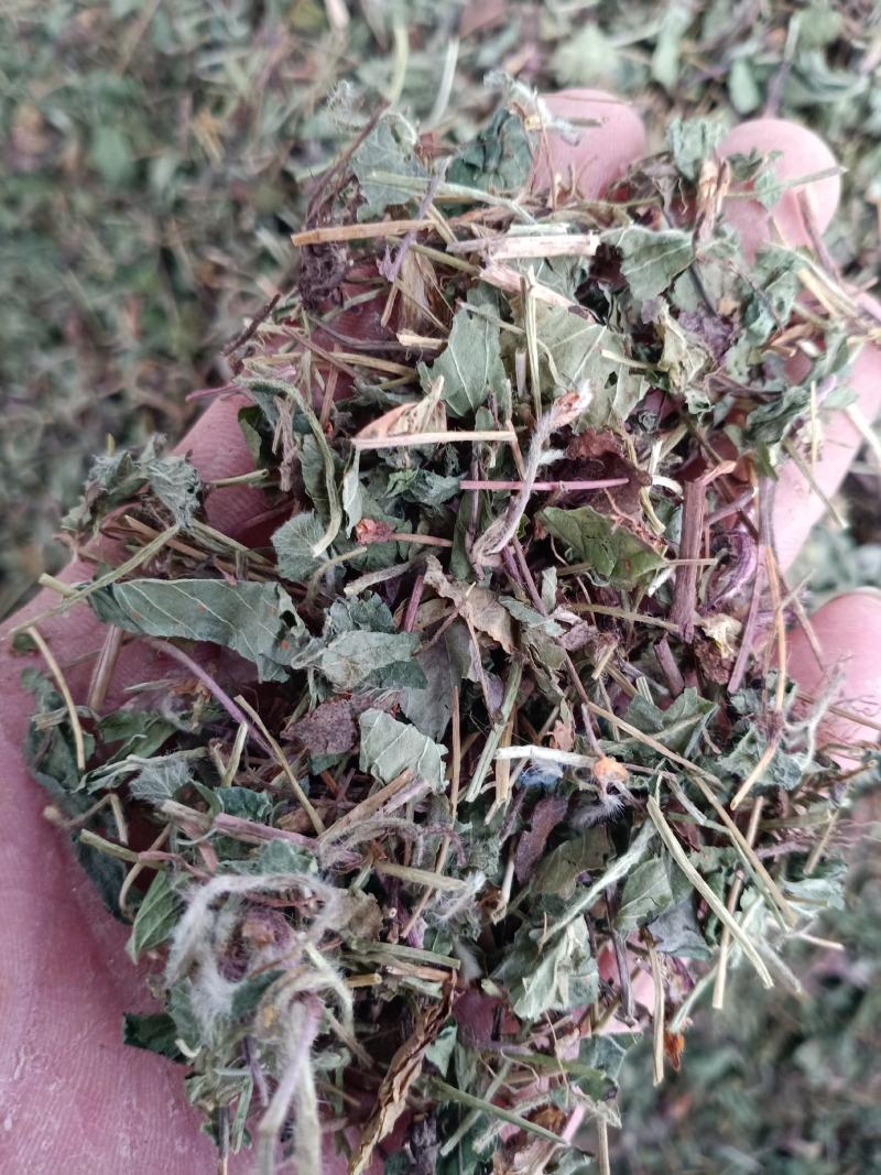 蛇莓，优质野生蛇莓精挑细选切片质量保证，欢迎咨询选购