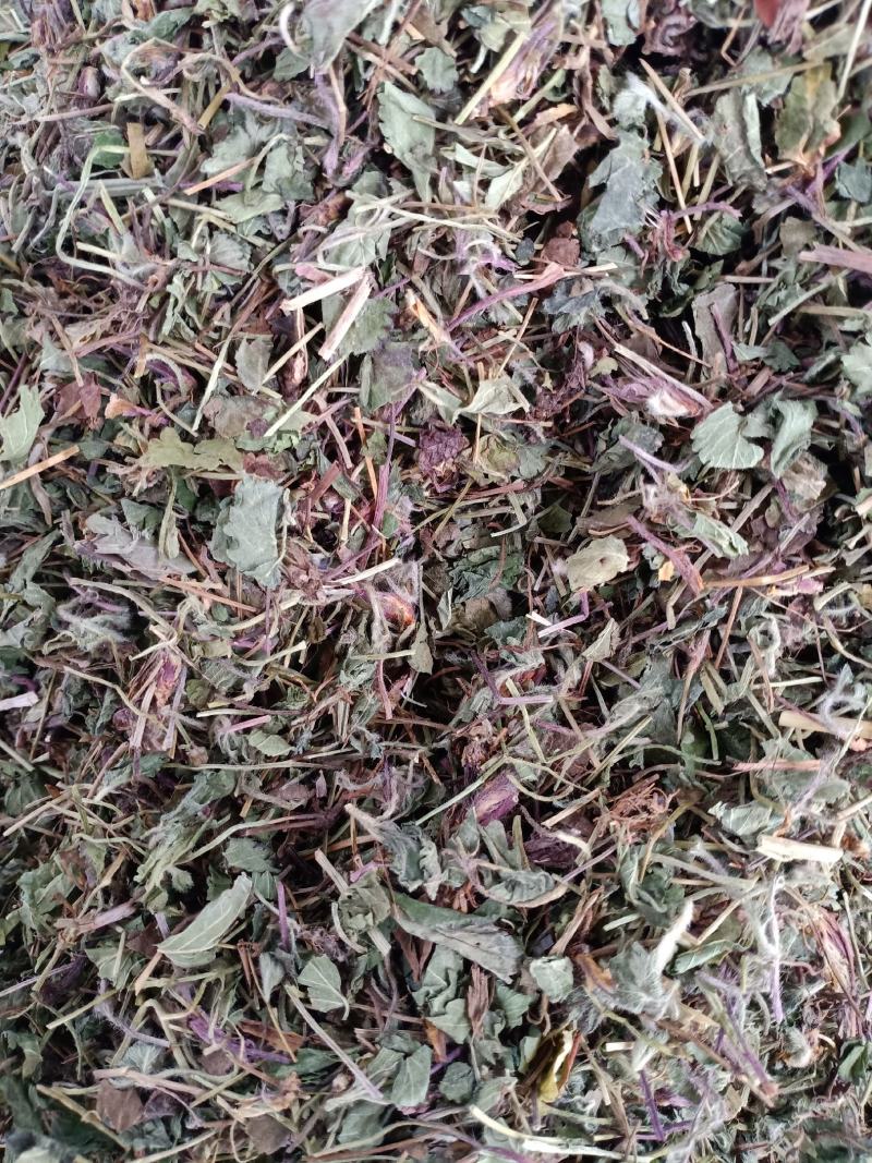 蛇莓，优质野生蛇莓精挑细选切片质量保证，欢迎咨询选购