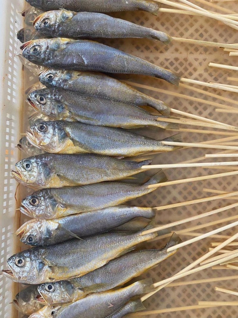 烧烤小黄鱼串，规格齐全，已腌制，厂家直销