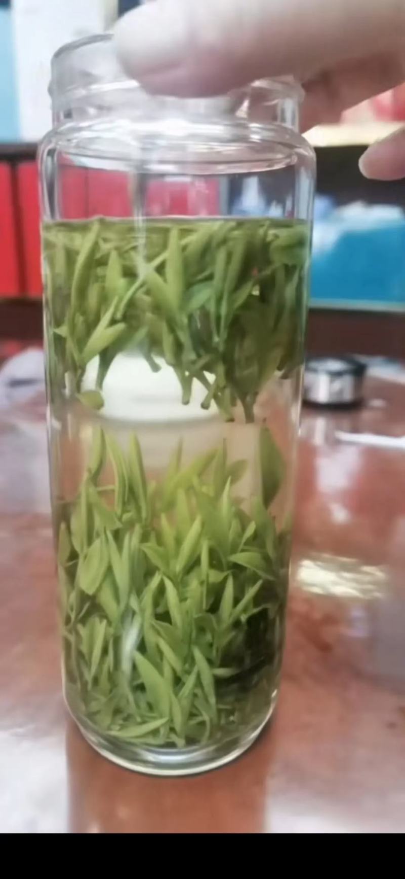 普洱高山茶，存手工制作。