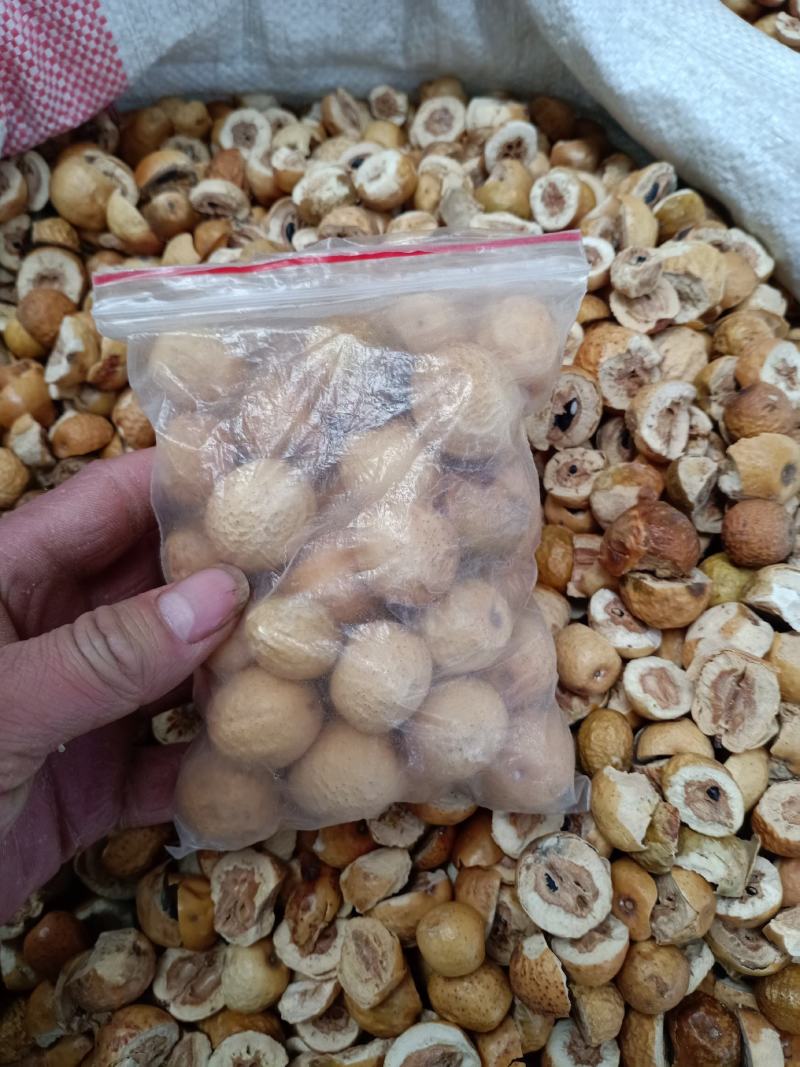 川楝子，川楝子片，个均有质量保证现货供应欢迎咨询合作！