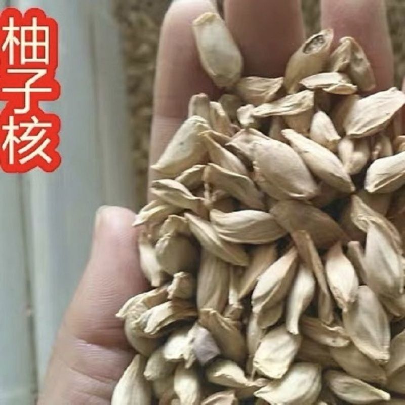 柚子种子红心柚种子沙田柚种子高产柚子种子红心柚苗柚子苗质