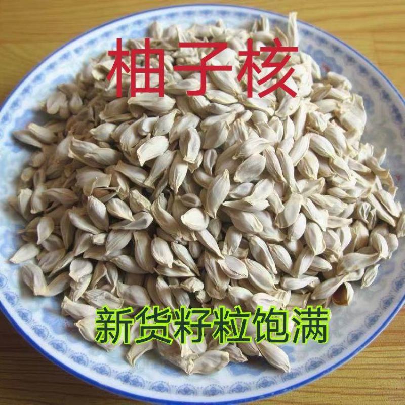 柚子种子红心柚种子沙田柚种子高产柚子种子红心柚苗柚子苗质