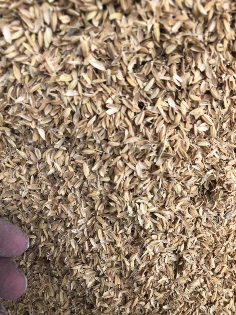 稻壳，散装稻壳，压缩稻壳，酿酒，酿醋，饲料填充，鸡鸭牛羊