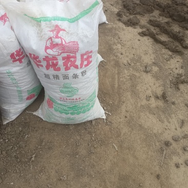 干鸡粪