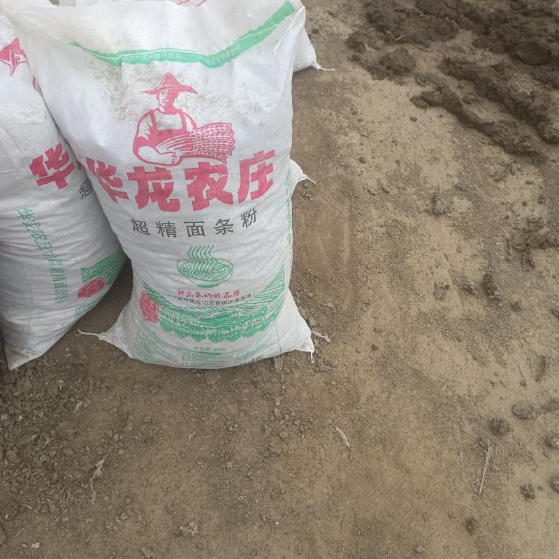 干鸡粪