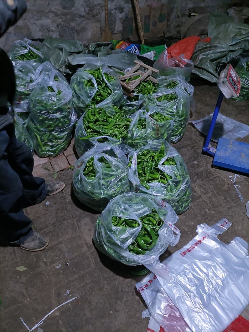 河北省唐山市滦南县精品！辣妹子！！！