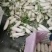 河北邯郸本地白萝卜大量有货，欢迎新老客户前来采购，诚信经