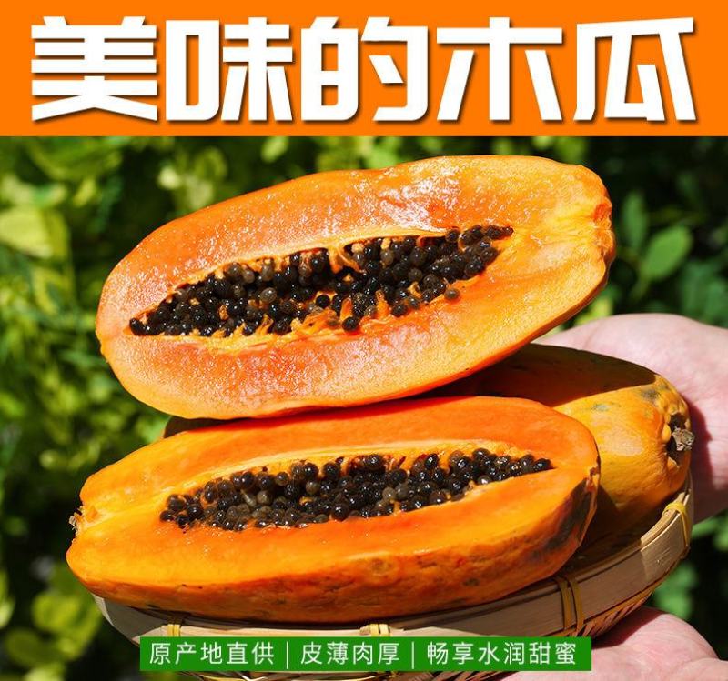 红心牛奶木瓜整箱应季冰糖青木瓜大木瓜新鲜水果当季批发