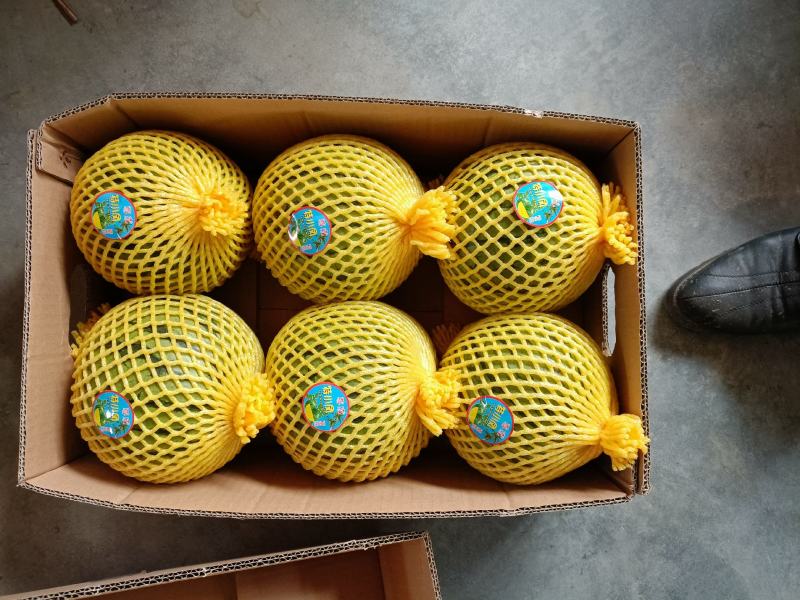 特小凤西瓜