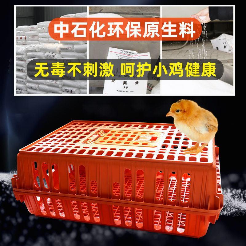 鸡笼周转箱家用养殖加厚鸡笼家禽运输筐鸡筐批发塑料框鸡笼