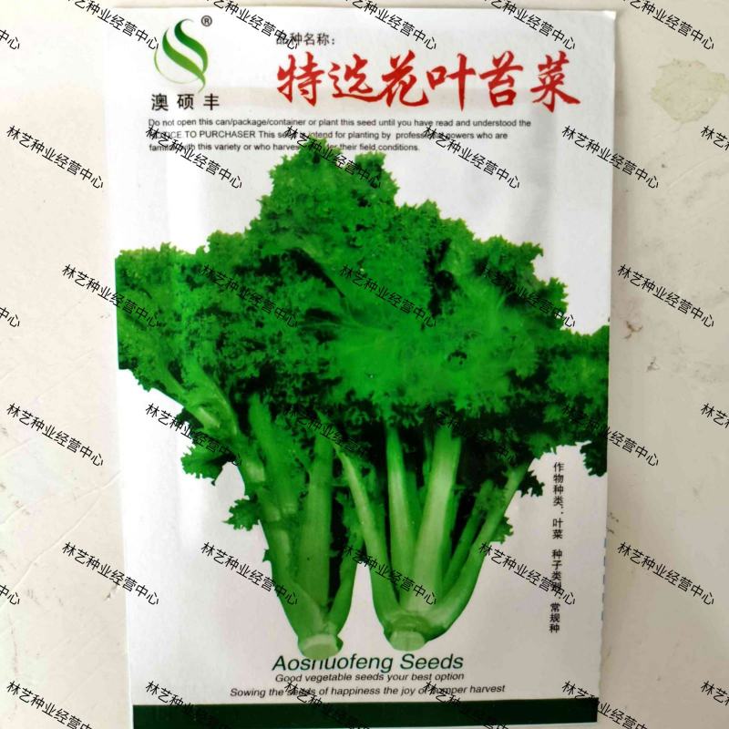 花叶苔菜种子青菜四季盆栽现在种的农家菜籽庭院秋季冬季耐热