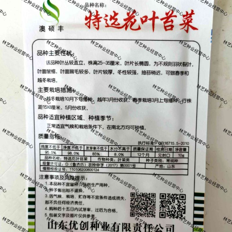 花叶苔菜种子青菜四季盆栽现在种的农家菜籽庭院秋季冬季耐热