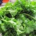 花叶苔菜种子青菜四季盆栽现在种的农家菜籽庭院秋季冬季耐热