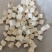 茯苓丁，过03筛今年新货，量大从优