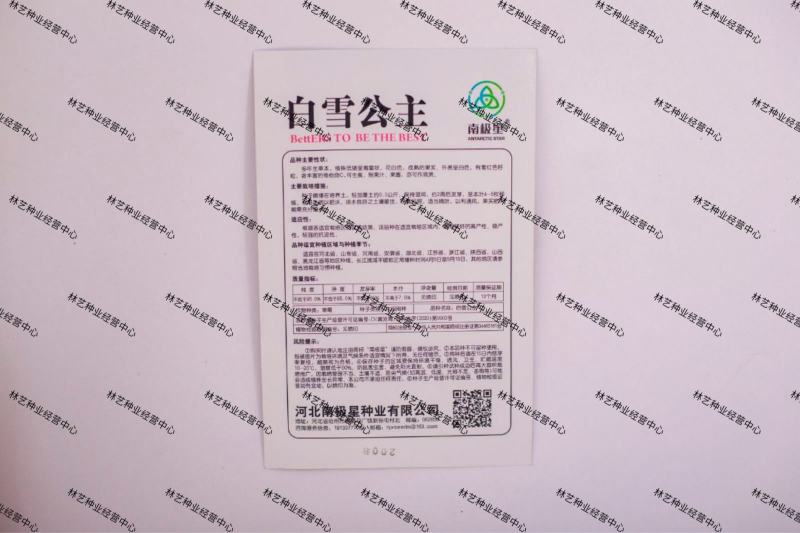 南极星白雪公主红颜草莓种子四季草莓盆栽地栽南北方种植