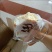 纯鲜蛋糕早餐面包糕点食品点心纯鸡蛋糕休闲零食特价小蛋糕整