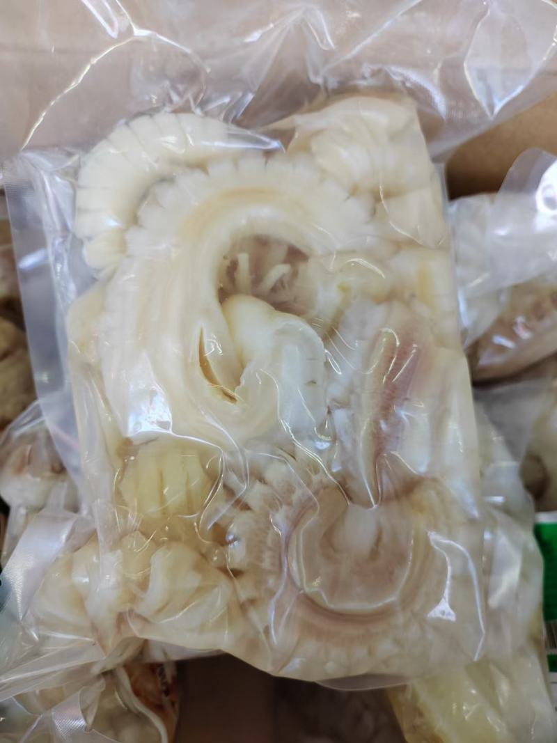牛鞭花，酒店，牛杂馆，火锅店专用！质量杠杠！包邮