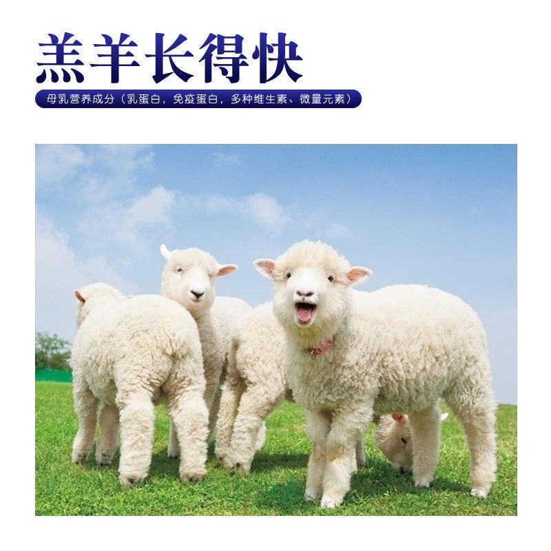 羔羊奶粉防腹泻配方促生长小牛羊妈妈乳厂家批发支持代工