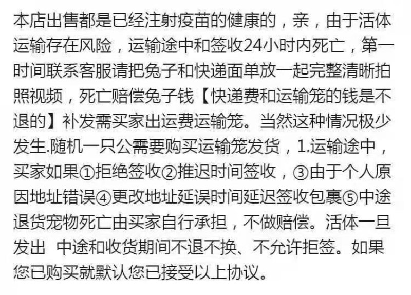 优选种兔苗，小兔，现货，已打疫苗，抗病能力强，快大型