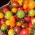 多彩水果番茄种子营养水果番茄种子阳台盆栽四季播种圣女果水