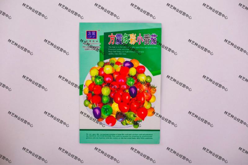 多彩水果番茄种子营养水果番茄种子阳台盆栽四季播种圣女果水