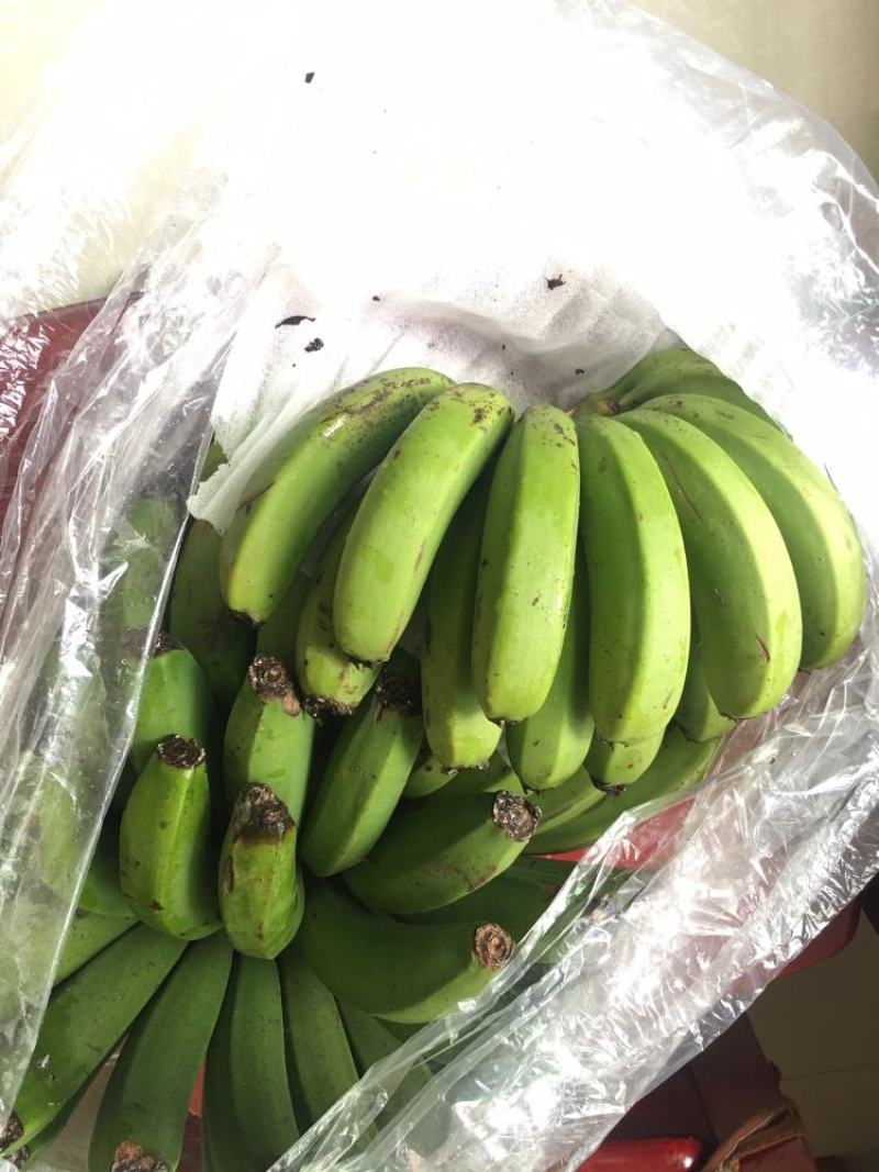云南高山香甜大香蕉新鲜带箱10斤水果包邮当季整箱自然熟