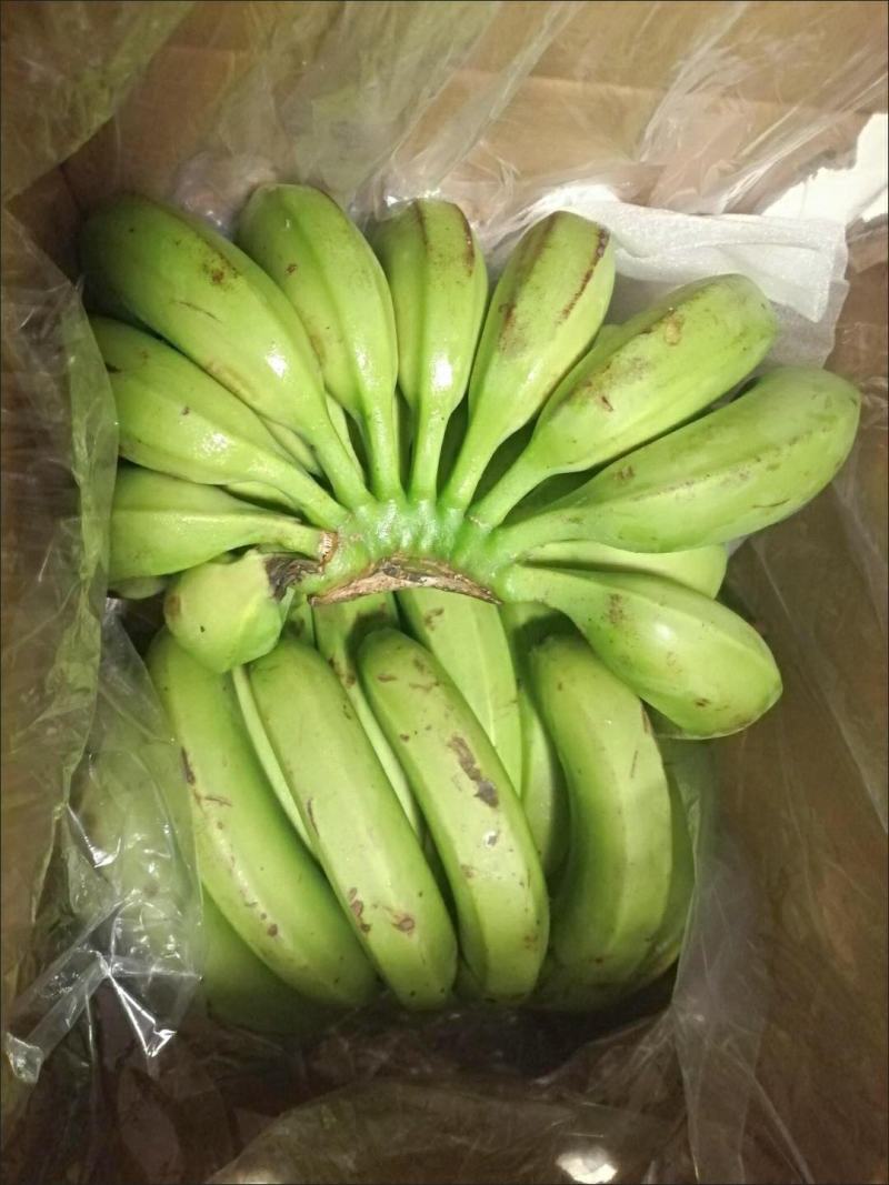 云南高山香甜大香蕉新鲜带箱10斤水果包邮当季整箱自然熟