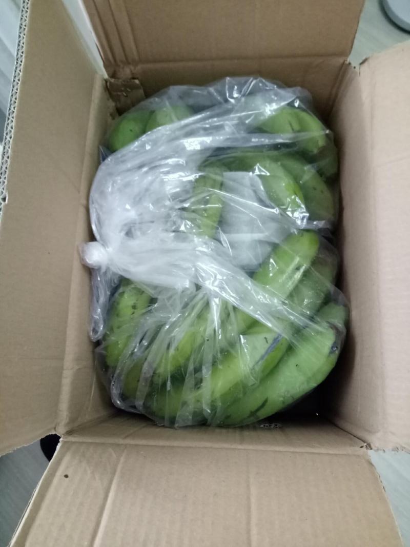 云南高山香甜大香蕉新鲜带箱10斤水果包邮当季整箱自然熟